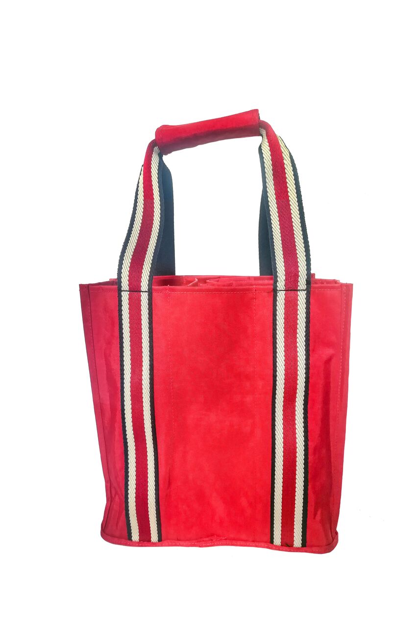Party-To-Go Tote - Mount Rushmore