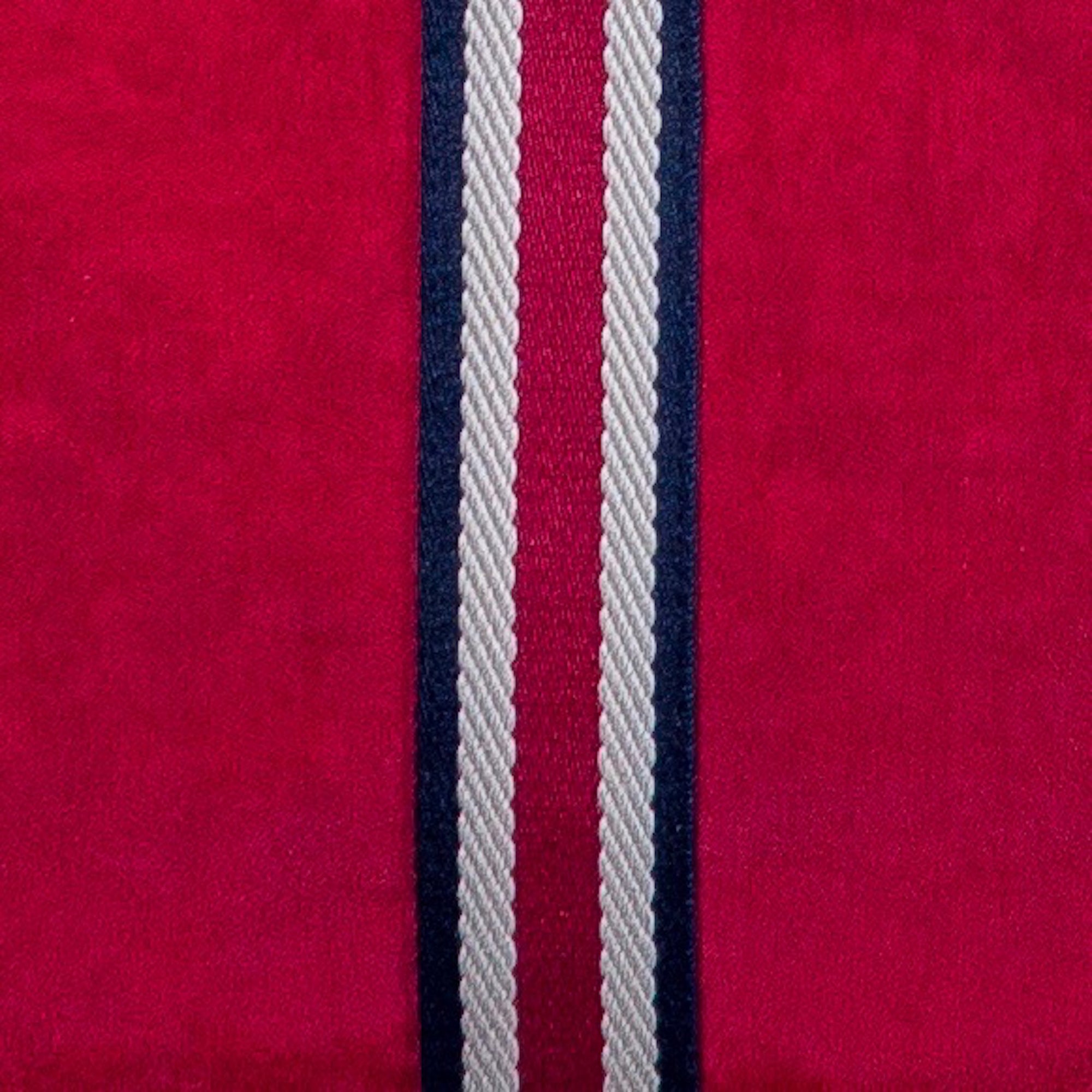 Party-To-Go Tote - Mount Rushmore